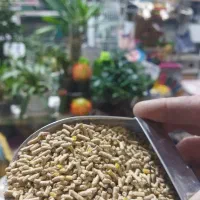 دان طوطی سانان|لوازم جانبی حیوانات|ارومیه, |دیوار