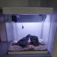 آکواریوم دلسا مدل k-320