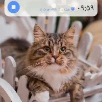 گوشی ردمی نوت ۱۳