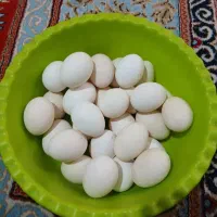 سی‌عدد‌تخم‌مرغ‌محلی‌دونه‌ای‌۱۲‌تومان