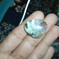 سنگ شجر زنده خوب