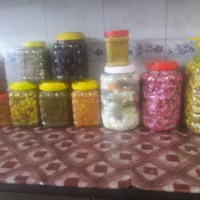 اتواع ترشی خانگی|خوردنی و آشامیدنی|تهران, شمشیری|دیوار