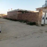 زمین-وردان160