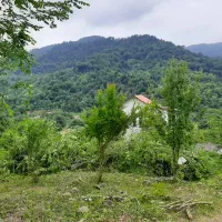 سرمایه گذار شمال