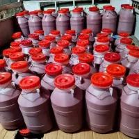 رب گوجه فرنگی جوین  ارگانیک بدون مواد نگهدارنده