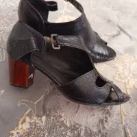 کفش سایز۳۸