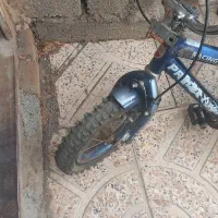 دوچرخه ۱۲|دوچرخه، اسکیت، اسکوتر|فردیس, شهرک ۱۱۰|دیوار