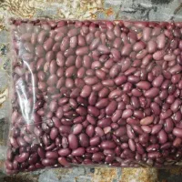 پخش حبوبات|خوردنی و آشامیدنی|تهران, یافتآباد|دیوار