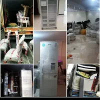 باربری و اسباب کشی خاور نیسان جابجایی اعزام کارگر|خدمات حمل و نقل|مشهد, شهید مطهری|دیوار