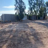 فروش زمین مناسب گلخانه کوچک|فروش دفتر صنعتی، کشاورزی، تجاری|گرمسار, |دیوار