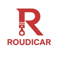 خدمات برق و انژکتور و آپشنال رودیکار