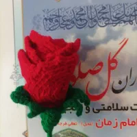 فروش و پذیرش سفارش طرح گل رز بافتنی به تعداد بالا