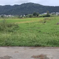 زمین مسکونی 235 متری/ویوابدی/ایده‌آل ساخت/نخجیر