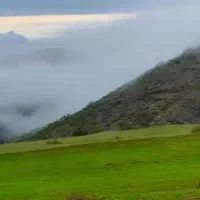 ادمین اینستا غیر حضوری هستم