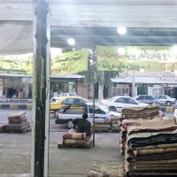 گالری فرش شهنوازی جام جم 18|فرش|زاهدان, |دیوار