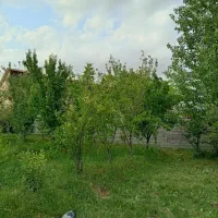 باغ میوه|فروش زمین و ملک کلنگی|مشهد, تبادکان|دیوار