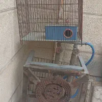 اجاق گازو قفس