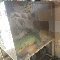 شیر سردکن