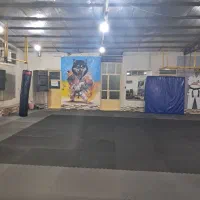 باشگاه ورزشی (آکادمی اسماعیل زاده)