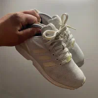 فلوکس سفید zx8000 اکومنت ساموا