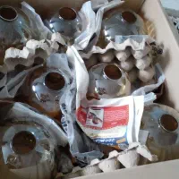 لوستر۶عددنونونو|لوستر و چراغ آویز|تبریز, |دیوار