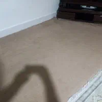 موکت تمیز وسالم حدود ۶۰مترظریف مصور