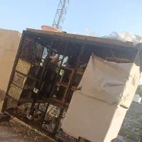 قفس گنجه کفتر کبوتر