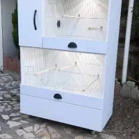 قفس عروس هلندی گرینچیک کوتوله|لوازم جانبی حیوانات|شیراز, شهرک گلستان|دیوار