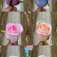 گل رز مینیاتوری در 12 رنگ
