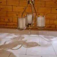 لوسترطلایی سه شاخه
