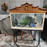 آکواریوم با تجهیزات