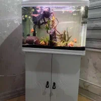 آکواریوم K580