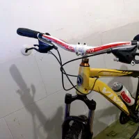 دوچرخه ویوا Apple100 سایز 26|دوچرخه، اسکیت، اسکوتر|برازجان, |دیوار