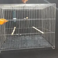 ۳ عددقفس پرنده|لوازم جانبی حیوانات|قائمشهر, |دیوار