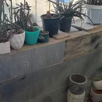 فروش آپارتمان ۷۵متر۲خواب جانبازان کوچه زمانی|فروش آپارتمان|رشت, جانبازان|دیوار