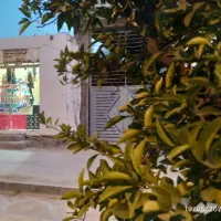 رهن و اجاره یک باب مغازه 5*3