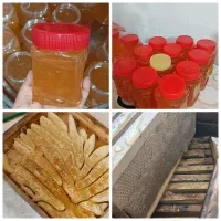 عسل خالص طبیعی به شرط بازگشت