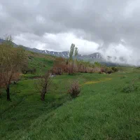 زمین ویهج مناسب باغ|فروش دفتر صنعتی، کشاورزی، تجاری|قروه, |دیوار