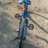 دوچرخه ۲۴|دوچرخه، اسکیت، اسکوتر|بجنورد, |دیوار