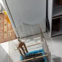 قفس پرنده درحد نو