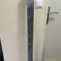 رگال طلایی و مشکی