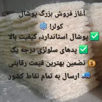 کارخانه پوشال کولر ابی و پد سلولوزی