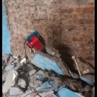 تخریب کاری پیکور