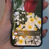 اپل iPhone 12 با حافظهٔ ۱۲۸ گیگابایت|موبایل|لنجان, |دیوار
