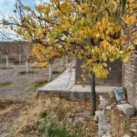 زمین در روستای دودهه