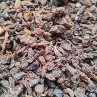 کشمش گله (قیمت قدیم) کشمش آفتابی کشمش کاشمر