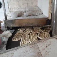 شاطر نانوایی بربری