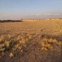 یک ۵۰ قصب زمین