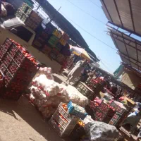 جویای کار هستم