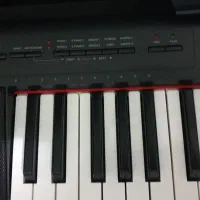 پیانو np-12  کیبورد|پیانو، کیبورد، آکاردئون|کرمان, |دیوار